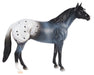 Blue Roan Appaloosa on a white background facing right