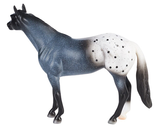 Blue Roan Appaloosa on a white background facing left