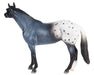 Blue Roan Appaloosa on a white background facing left