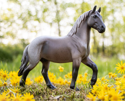 Blue Roan Brabant - in a field with flowers