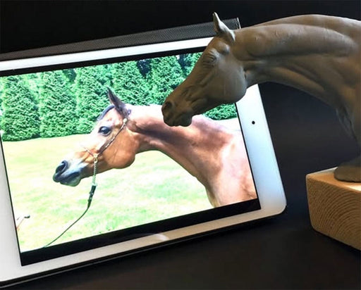 Bone to Bust Workshop project