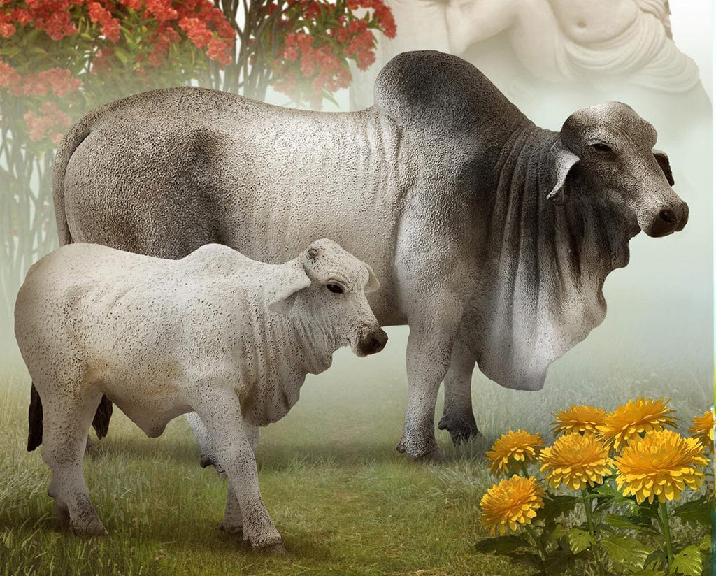 Brahman Bull — BreyerHorses.com