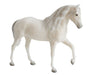 Caprechio del Richuelo on a white background facing right