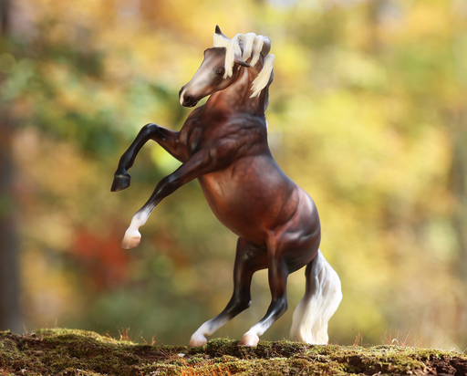 Carmen - 2026 Premier Collection