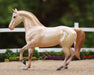 Breyer Freedom Series Champagne Quarter Horse Cross