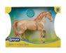 Champagne Quarter Horse Cross in packaging