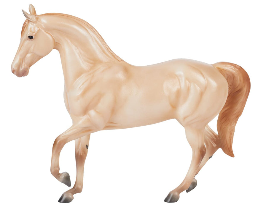 Champagne Quarter Horse Cross on a white background facing left