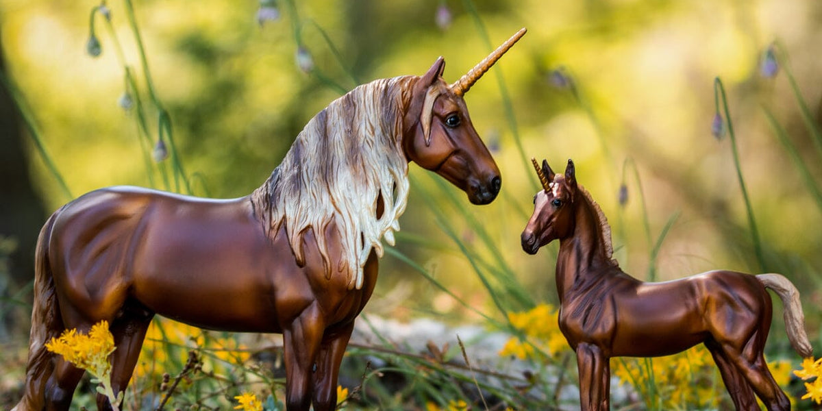 cyrus-solana-model-breyer-