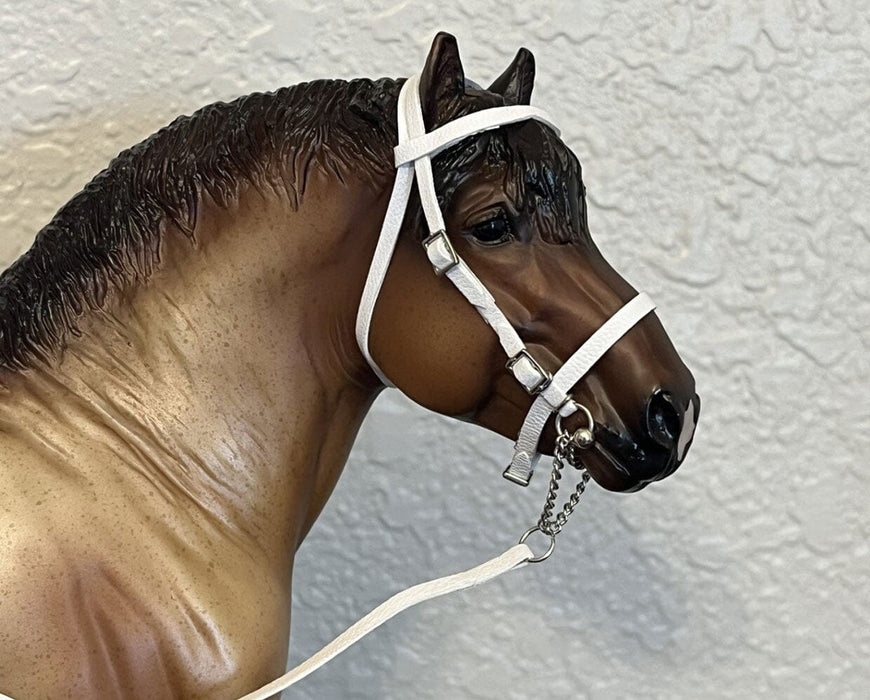 Draft Horse Show Halter Workshop project