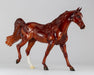 Glossy Belesema Sapphire facing right