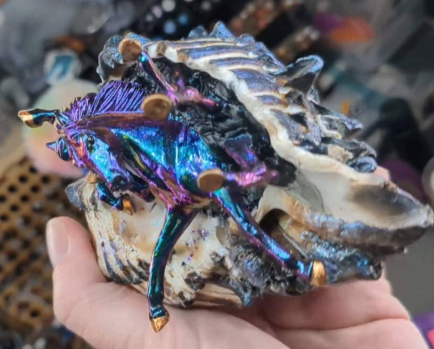 Every Day We Scuttling | BreyerMidwest 2026