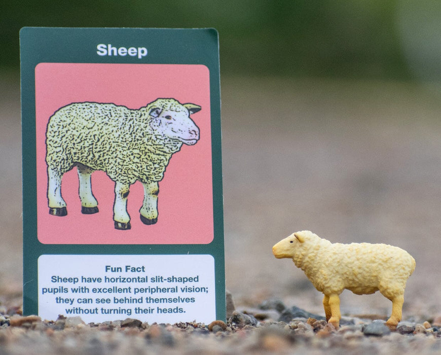 CollectA Farm Blind Bags - Sheep