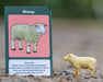 CollectA Farm Blind Bags - Sheep