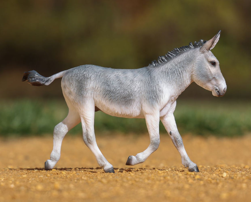Flapjack - Breyer Premier Collection