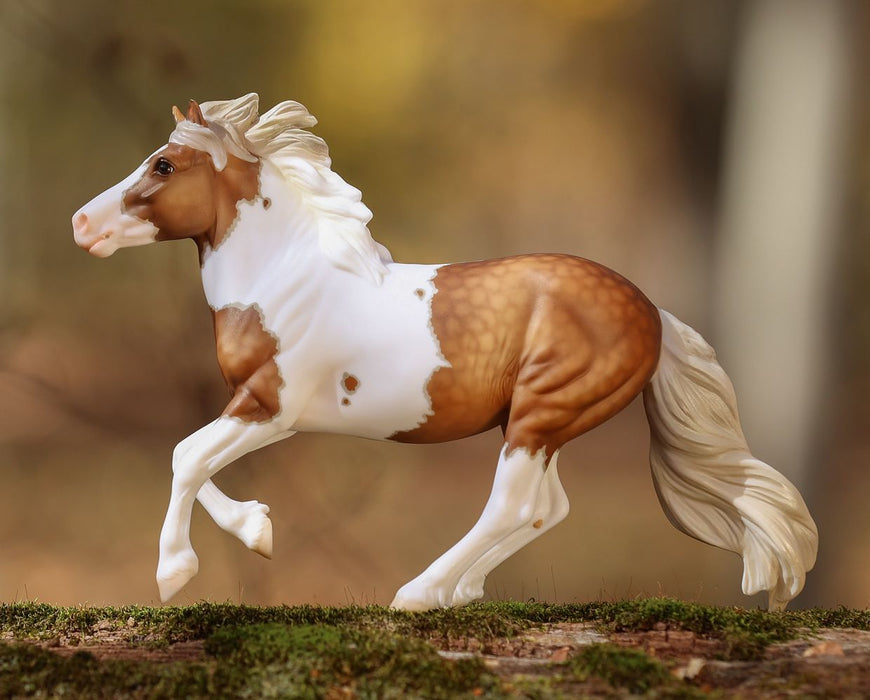 Waffles - Breyer Premier Collection