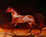 Fuego | Halloween Horse - facing left on standing on a wood floor with fire