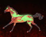 Fuego | Halloween Horse - glowing on a dark background
