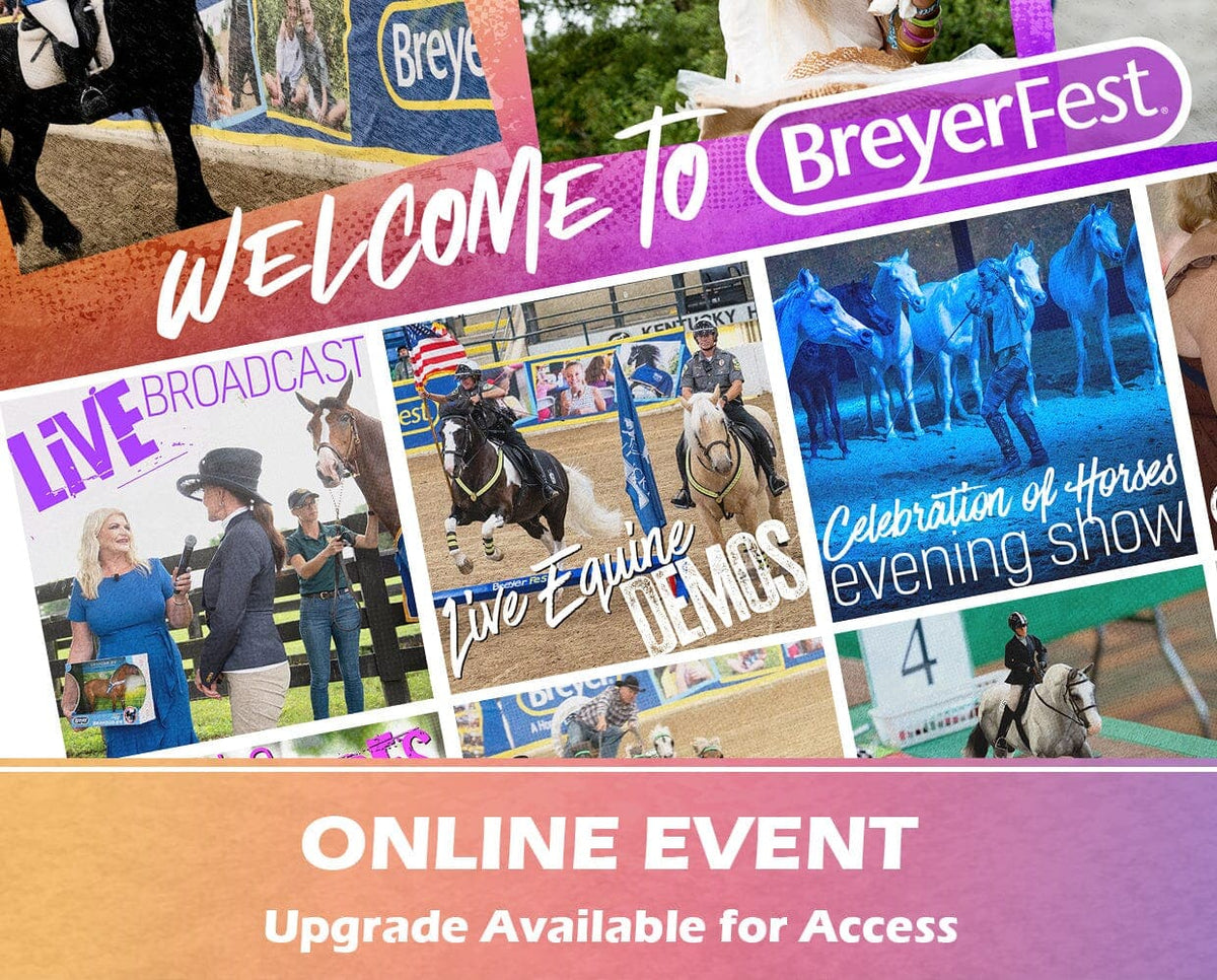 General Admission Ticket BreyerFest 2025