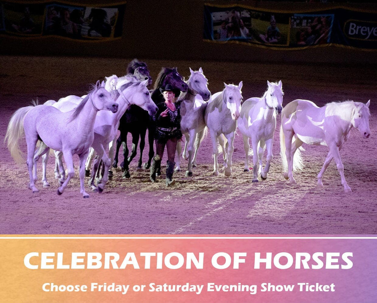 General Admission Ticket BreyerFest 2025