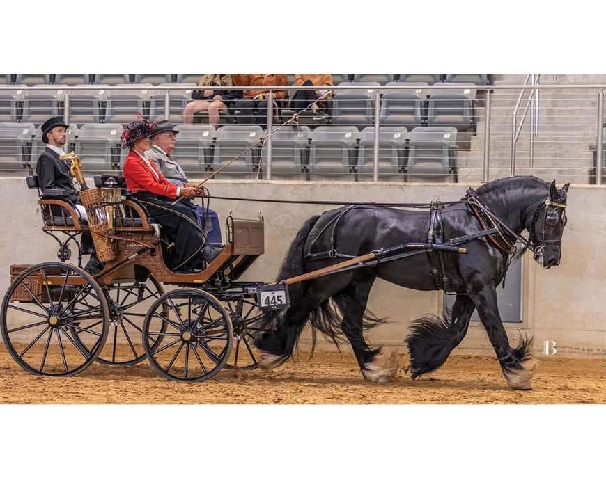 GG Kiss Me Kate performing pulling a carriage