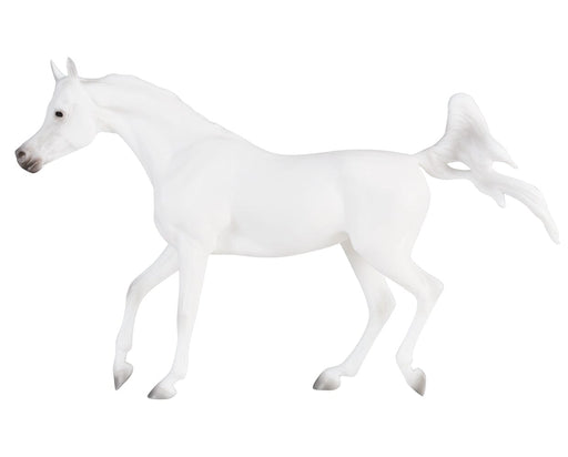 Grey Arabian on a white background facing left