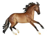 Guillermo Breyer Model - facing right on a white background