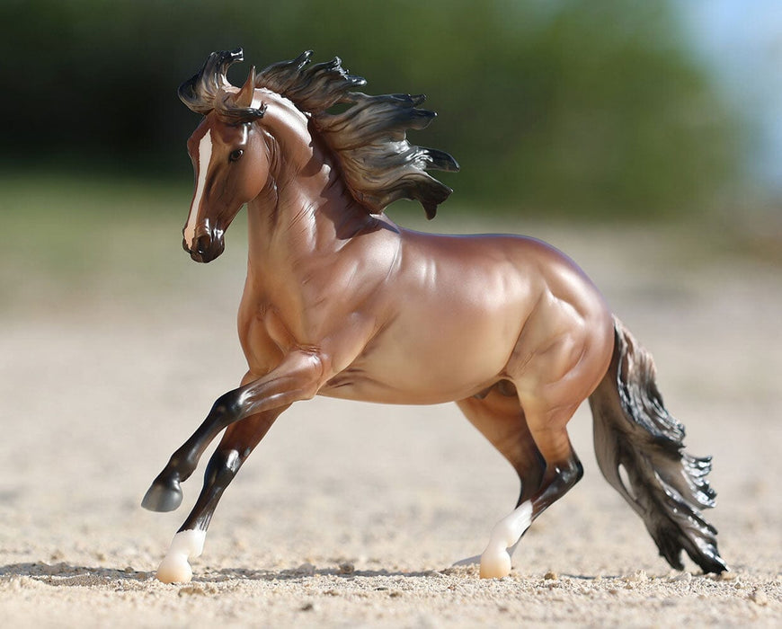 Guillermo Breyer Model - facing left in a standing on sand in a real outdoor setting.