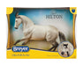 Jaguel Hilton | Criollo Stallion | in packaging