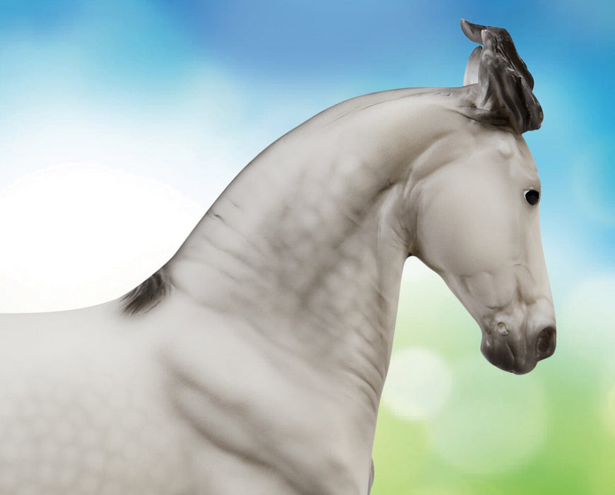 Jaguel Hilton | Criollo Stallion | headshot on a colorful background facing right