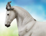 Jaguel Hilton | Criollo Stallion | headshot on a colorful background facing left
