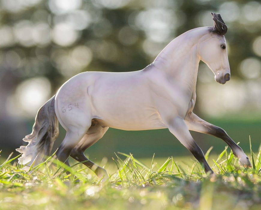 Jaguel Hilton | Criollo Stallion