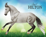 Jaguel Hilton | Criollo Stallion | on a grassy colorful background facing left