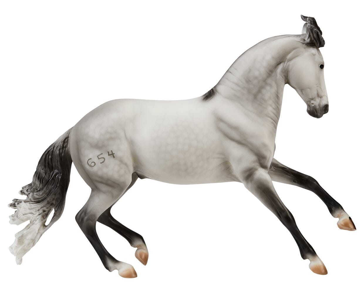 Jaguel Hilton | Criollo Stallion | on a white background facing right