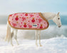 Marley | 2026 Pony for Christmas wearing blanket in a snowy setting