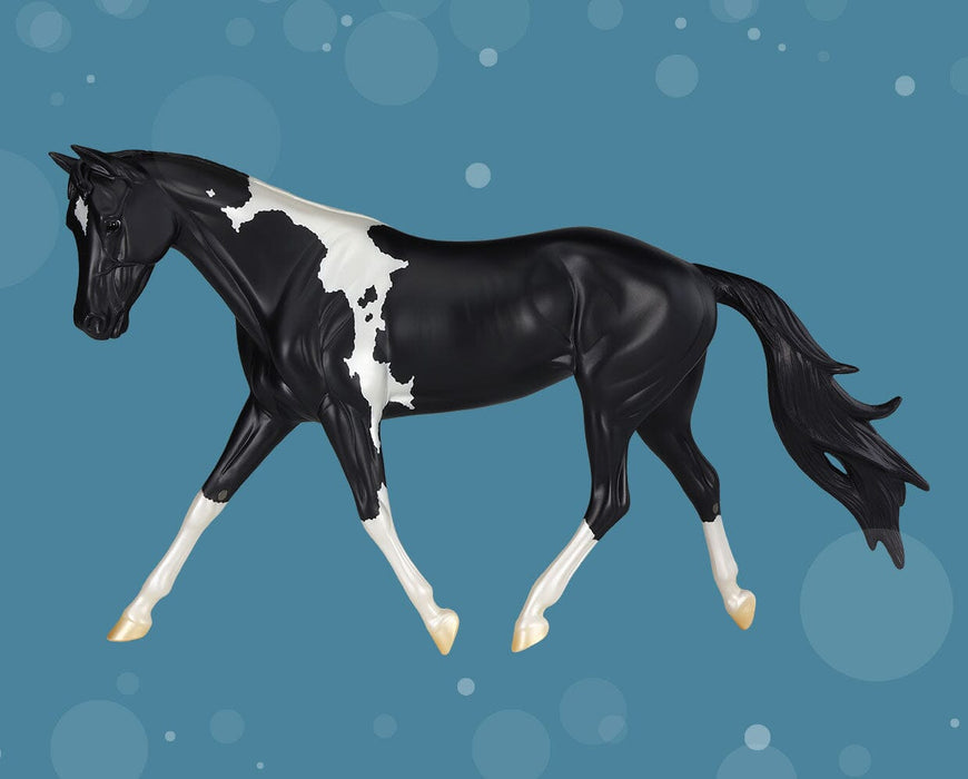 Merry_Dancer – shown in Black tobiano pinto, with “Coal 2025” on her belly in gold