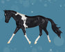 Merry_Dancer – shown in Black tobiano pinto, with “Coal 2025” on her belly in gold