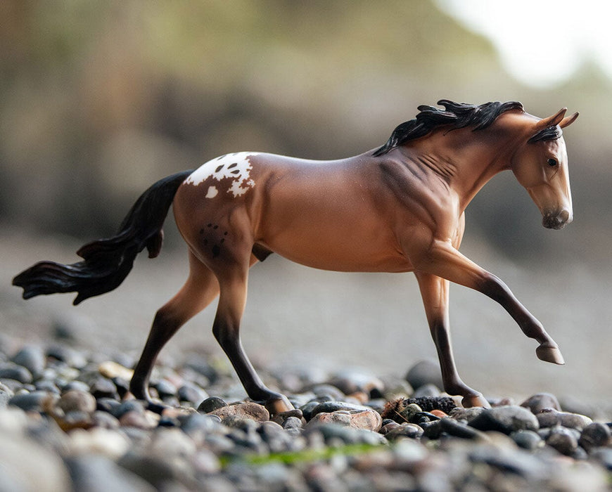 Mr. Shining Gun Breyer Model on a rocky shoreline facing right