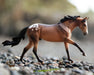 Mr. Shining Gun Breyer Model on a rocky shoreline facing right