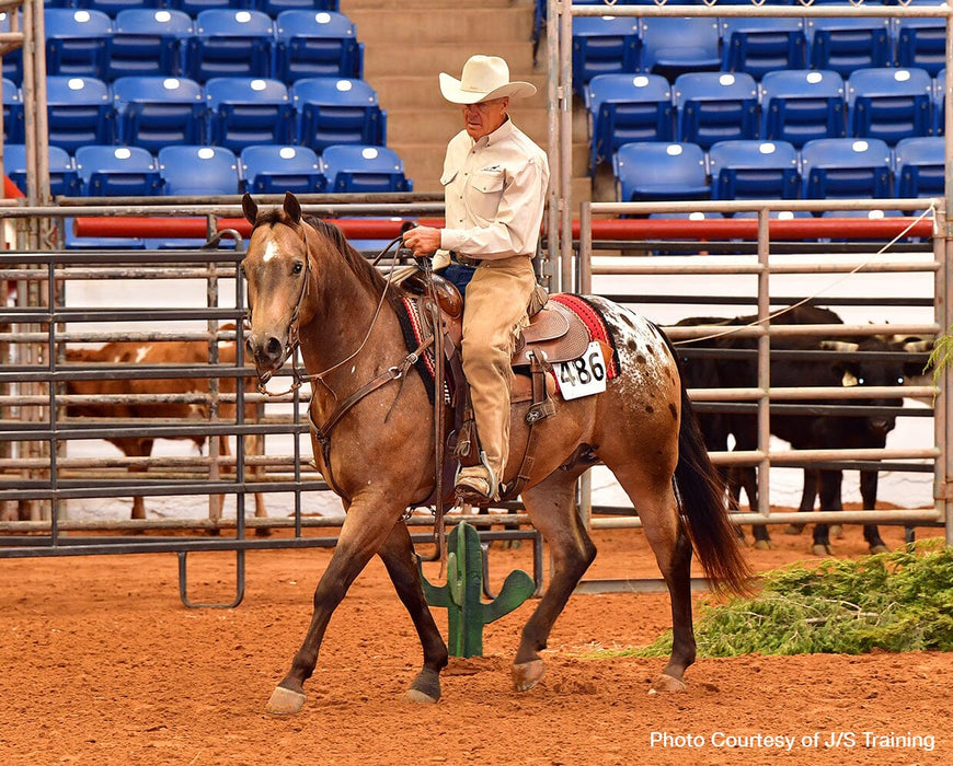 Mr. Shining Gun - horse with his rider in an arena