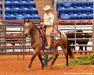 Mr. Shining Gun - horse with his rider in an arena