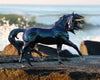 Neptune | Unicorn Stallion on shore