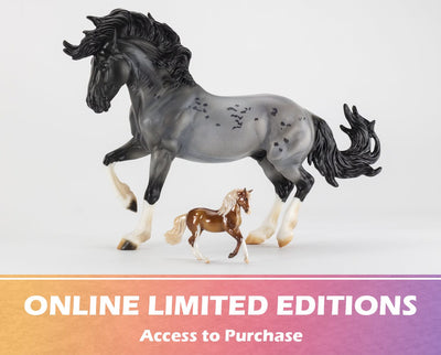 Online Limited Edition Models