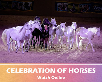 Celebration of Horses
