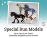 Special Run Models - up to 2 per ticket - randomly assigned to your account