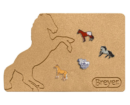 Pin Value Bundle with Board