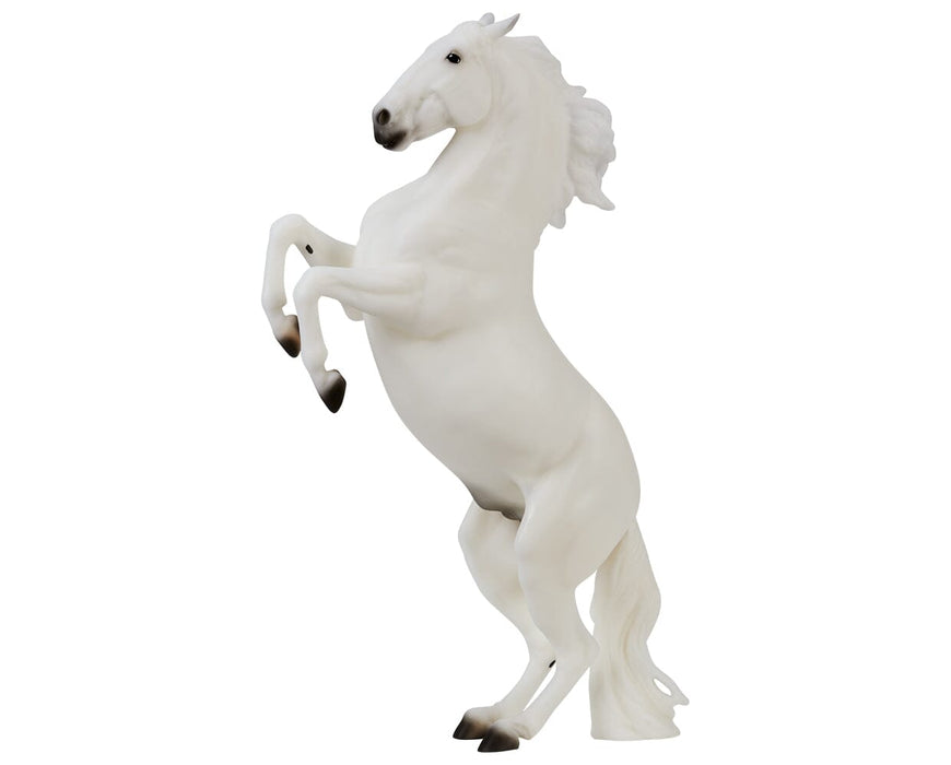 Pluto Gratia rearing on a white background facing left