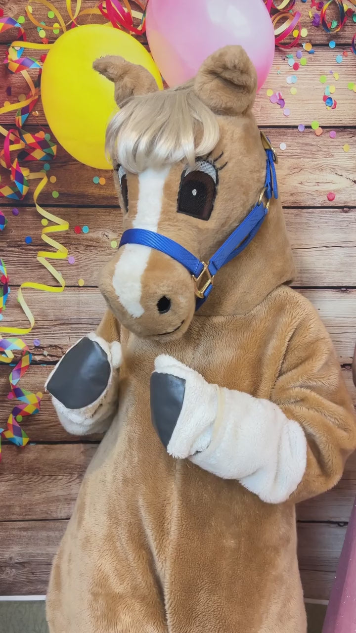 Birthday at the Barn  Breyer Video