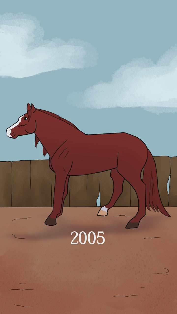 75th Anniversary Stock Horse Animation video