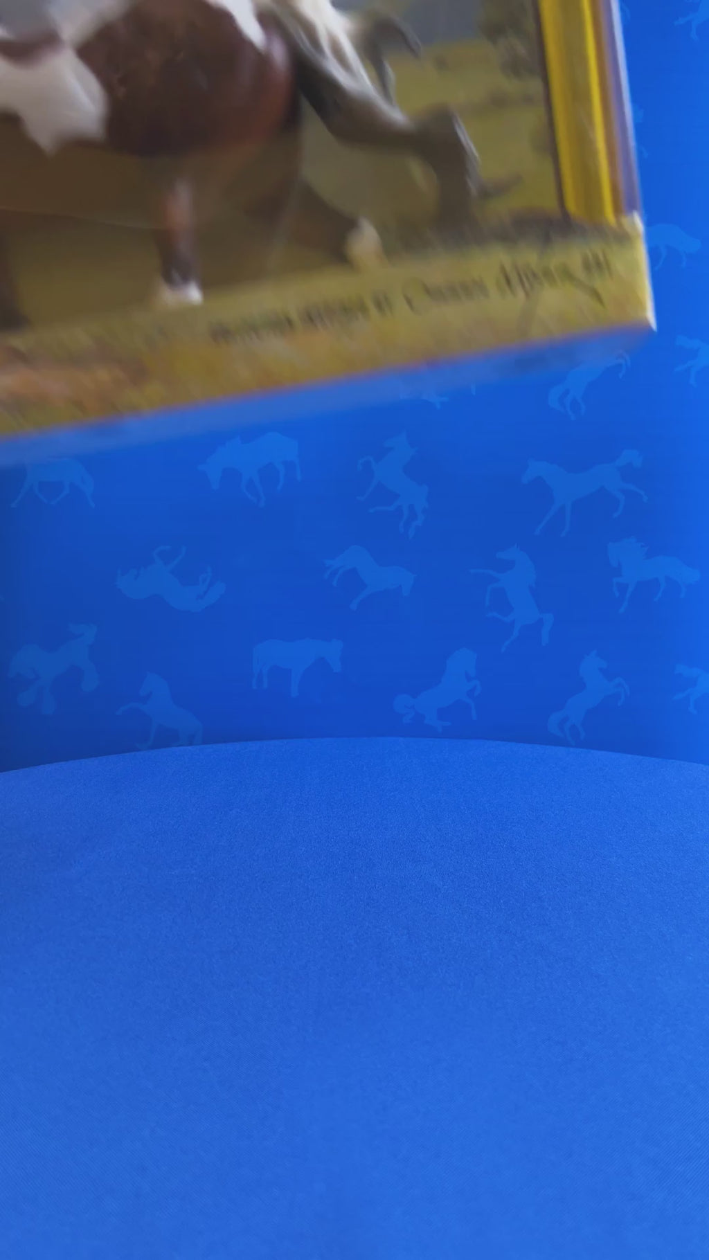 The Ideal Series | Pinto unboxing video