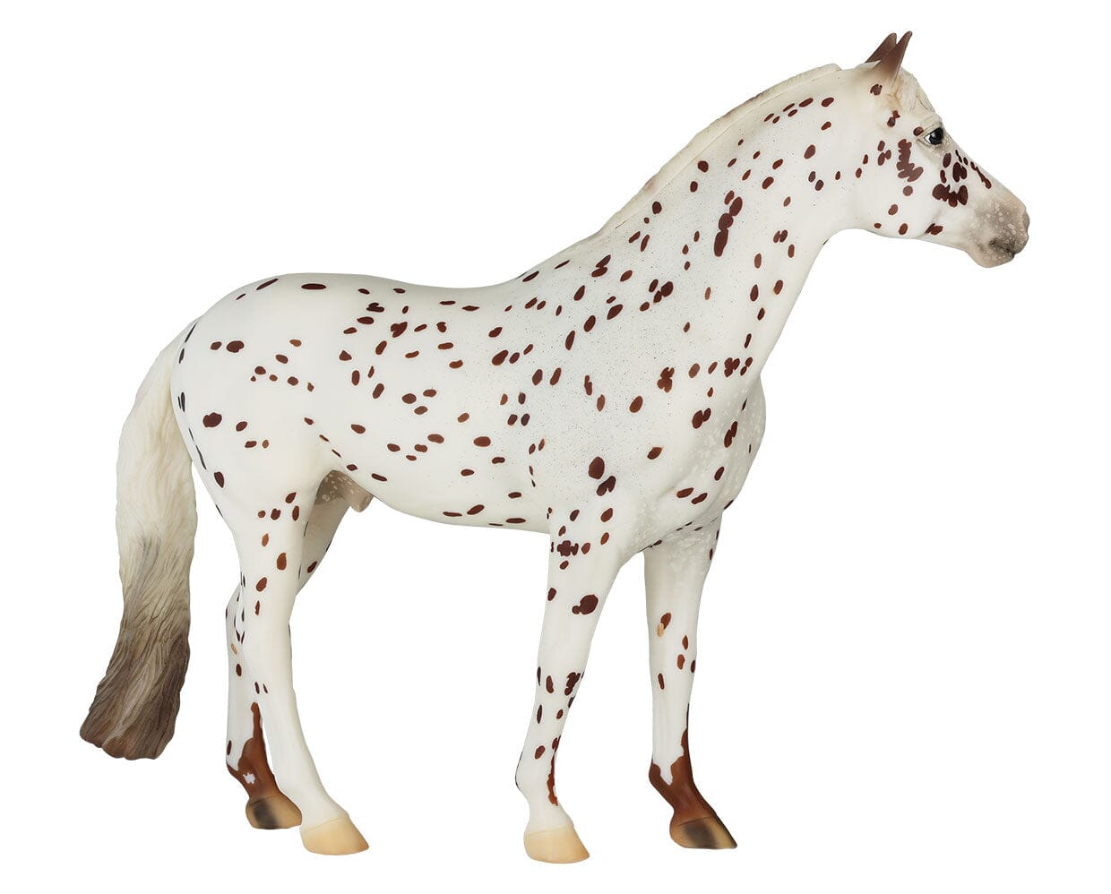 Pyxis av Drӧmmarna  facing right on a white background